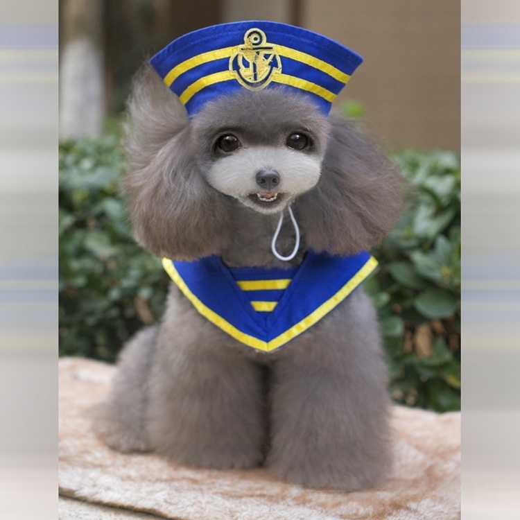 Navy Sailor Dog Costume Pet Halloween Outfit with Hat and Anchor Design